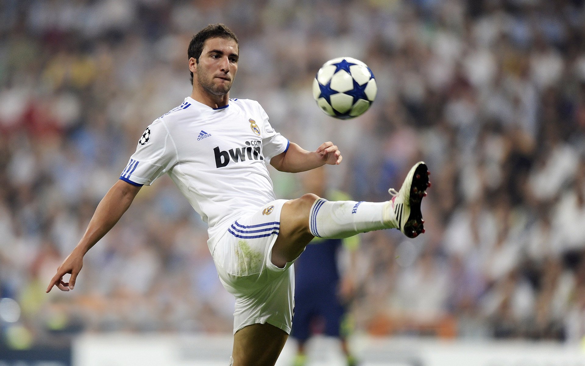 阿根廷国家队备战美洲杯,阿根廷主场庆祝美洲杯